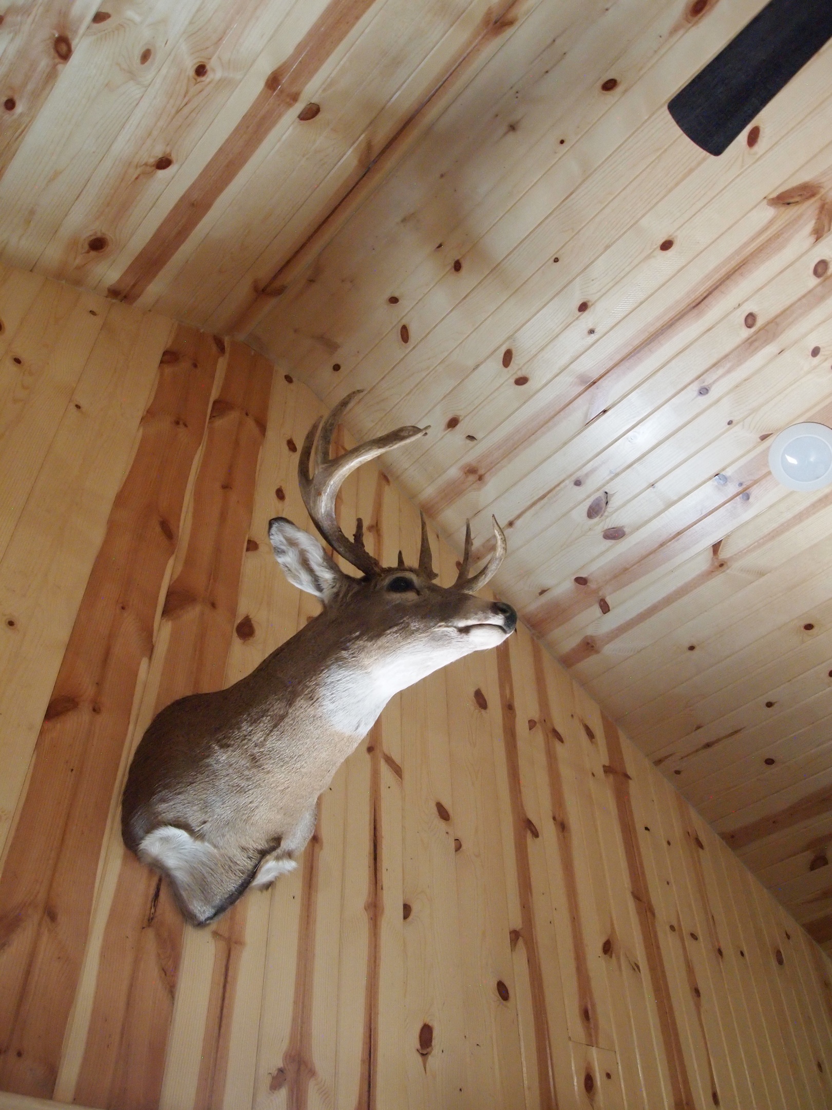 Restful Refuge is located near excellent fishing on Devils Lake, North Dakota
